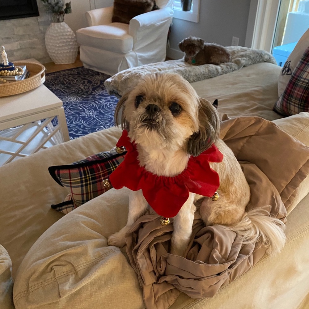 Meet your Posher, Lorraine